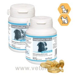 DuOmega Hund & Katze