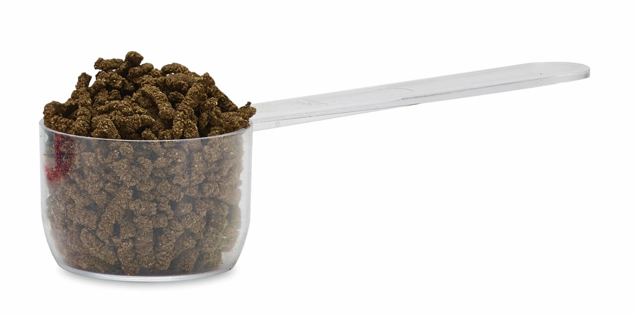 Audevard Harpagyl 2 Audevard Harpagyl – Bild 2