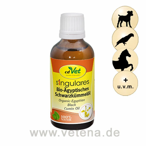 CdVet Singulares Bio-Ägyptisches Schwarzkümmelöl 1 CdVet Singulares Bio-Ägyptisches Schwarzkümmelöl