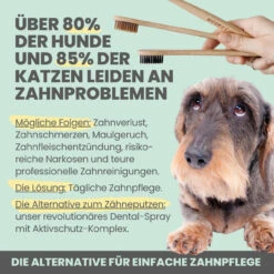 Noms+ Dental-Spray Für Hunde & Katzen -Haustierprodukte nomsplus dental spray hund katze5