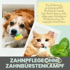 Noms+ Dental-Spray Für Hunde & Katzen -Haustierprodukte nomsplus dental spray hund katze6