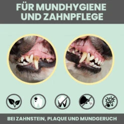 Noms+ Dental-Spray Für Hunde & Katzen -Haustierprodukte nomsplus dental spray hund katze7