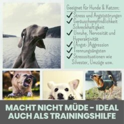 Noms+ Wohlfühlmix Für Hunde & Katzen -Haustierprodukte nomsplus wohlfuehlmix hunde katzen7