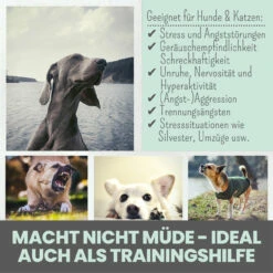 Noms+ Wohlfühltabs Für Hunde & Katzen 15 Noms+ Wohlfühltabs Für Hunde & Katzen -Haustierprodukte nomsplus wohlfuehltabs hund katze6