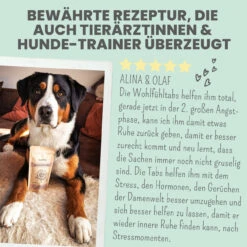 Noms+ Wohlfühltabs Für Hunde & Katzen 16 Noms+ Wohlfühltabs Für Hunde & Katzen -Haustierprodukte nomsplus wohlfuehltabs hund katze7