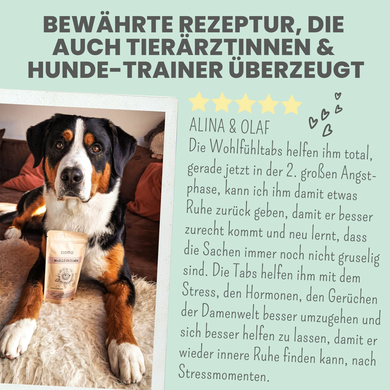 Noms+ Wohlfühltabs Für Hunde & Katzen 7 Noms+ Wohlfühltabs Für Hunde & Katzen – Bild 7