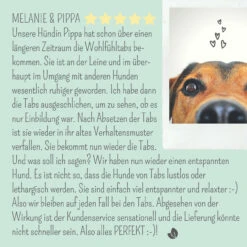 Noms+ Wohlfühltabs Für Hunde & Katzen 17 Noms+ Wohlfühltabs Für Hunde & Katzen -Haustierprodukte nomsplus wohlfuehltabs hund katze8