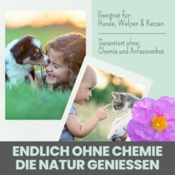 Noms+ Zistrosen Tabs Für Hunde & Katzen -Haustierprodukte nomsplus zistrosen tabs hunde katzen5