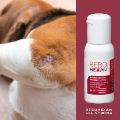 ReboHexan Gel Strong -Haustierprodukte rebohexan gel strong tiere4