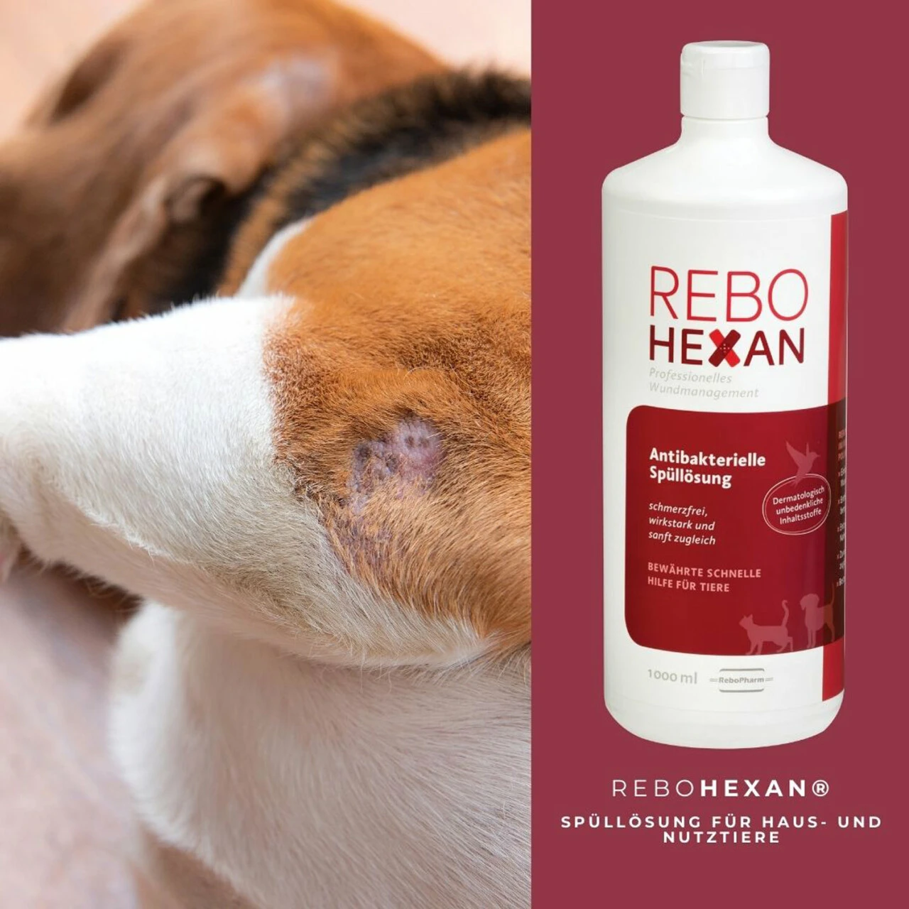 ReboHexan Spüllösung 4 ReboHexan Spüllösung – Bild 4