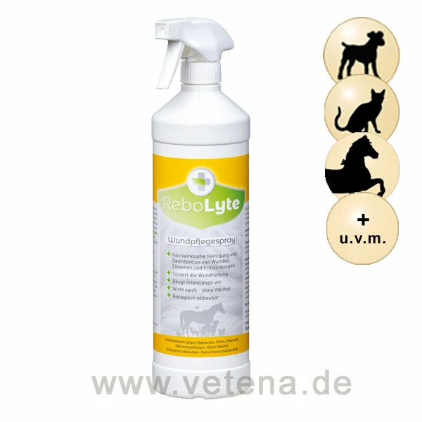 ReboLyte ECA Wundpflegespray 1 ReboLyte ECA Wundpflegespray