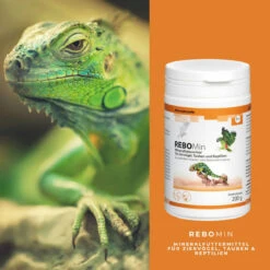 ReboVet REBOMin Für Vögel & Reptilien -Haustierprodukte rebopharm rebomin kleintier4