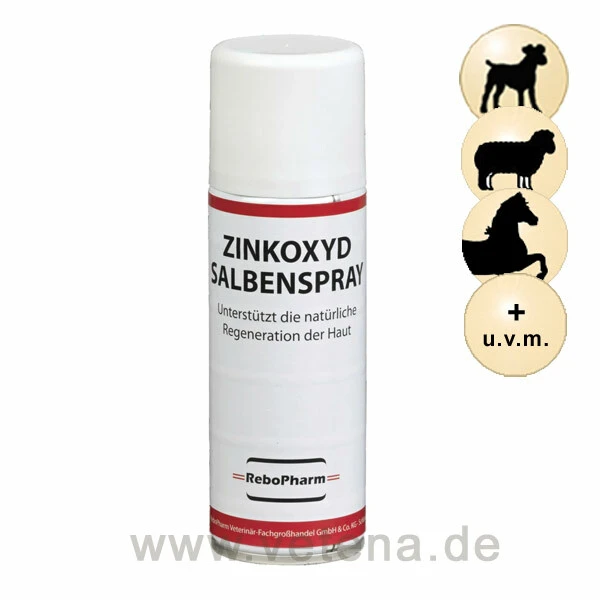 ReboPharm Zinkoxyd Salbenspray 1 ReboPharm Zinkoxyd Salbenspray