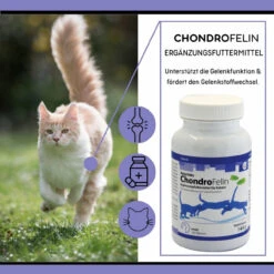 ReboTabs ChondroFelin Für Katzen -Haustierprodukte rebotabs chondrofelin katze3