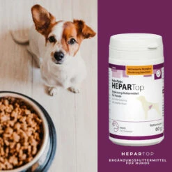 ReboTabs HEPARTop Für Hunde -Haustierprodukte rebotabs hepartop3