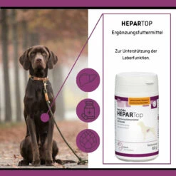 ReboTabs HEPARTop Für Hunde -Haustierprodukte rebotabs hepartop4