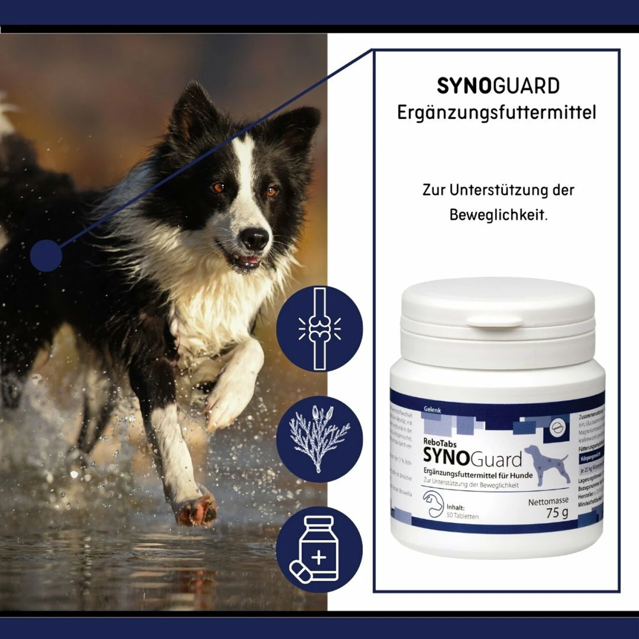 ReboTabs SYNOGuard Für Hunde 3 ReboTabs SYNOGuard Für Hunde – Bild 3