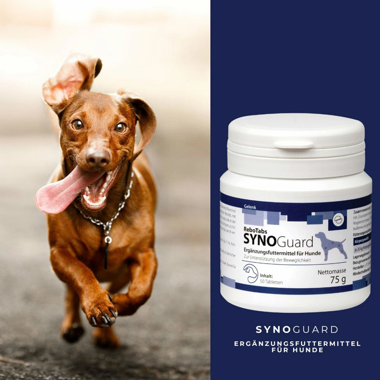 ReboTabs SYNOGuard Für Hunde 4 ReboTabs SYNOGuard Für Hunde – Bild 4