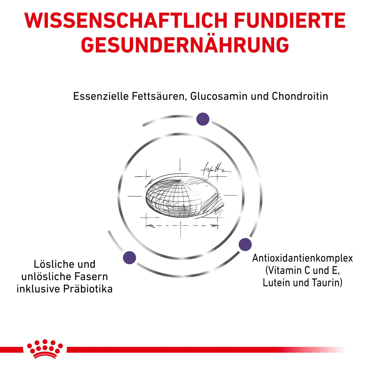 Royal Canin Expert Adult Large Dogs Trockenfutter Für Hunde 4 Royal Canin Expert Adult Large Dogs Trockenfutter Für Hunde – Bild 4