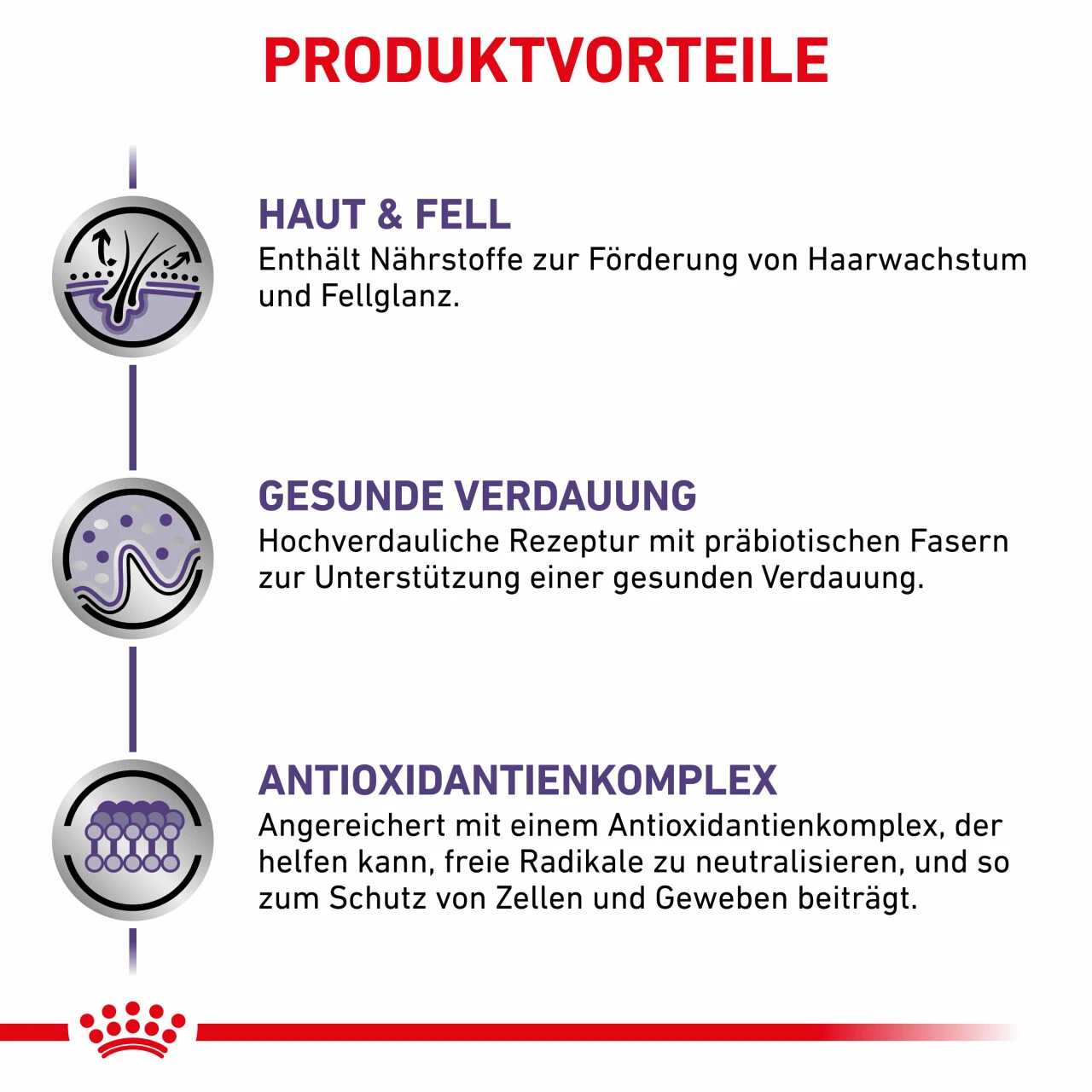 Royal Canin Expert Adult Medium Dogs Trockenfutter Für Hunde 2 Royal Canin Expert Adult Medium Dogs Trockenfutter Für Hunde – Bild 2