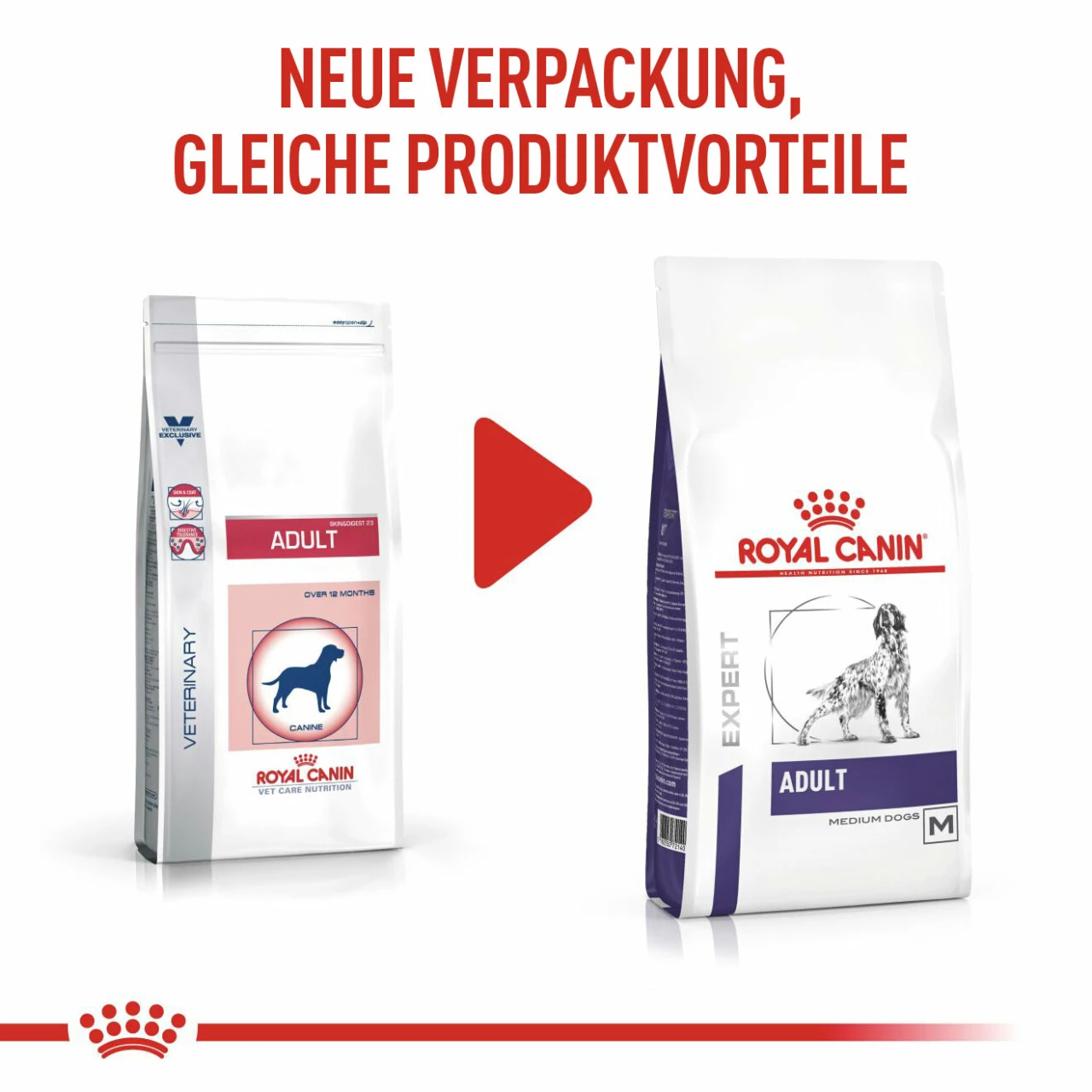 Royal Canin Expert Adult Medium Dogs Trockenfutter Für Hunde 3 Royal Canin Expert Adult Medium Dogs Trockenfutter Für Hunde – Bild 3