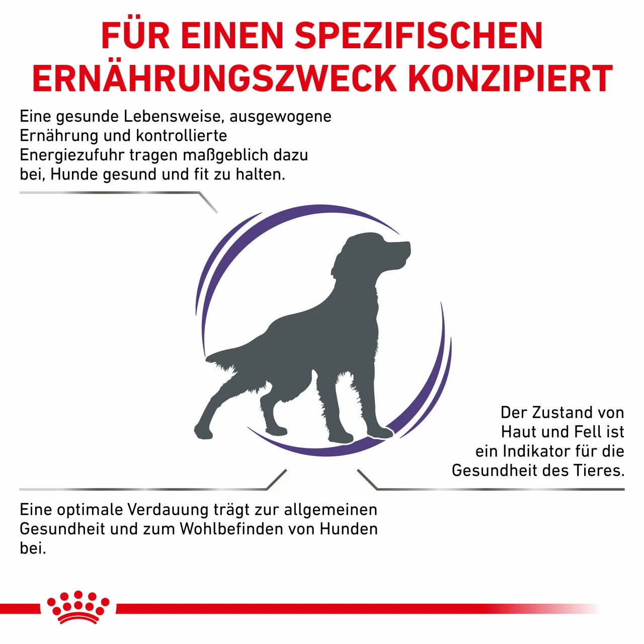Royal Canin Expert Adult Medium Dogs Trockenfutter Für Hunde 4 Royal Canin Expert Adult Medium Dogs Trockenfutter Für Hunde – Bild 4