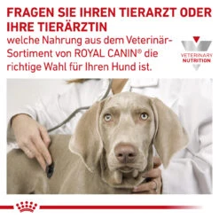 Royal Canin Gastrointestinal High Fibre Trockenfutter Für Hunde -Haustierprodukte royal canin gastro intestinal high fibre hund9