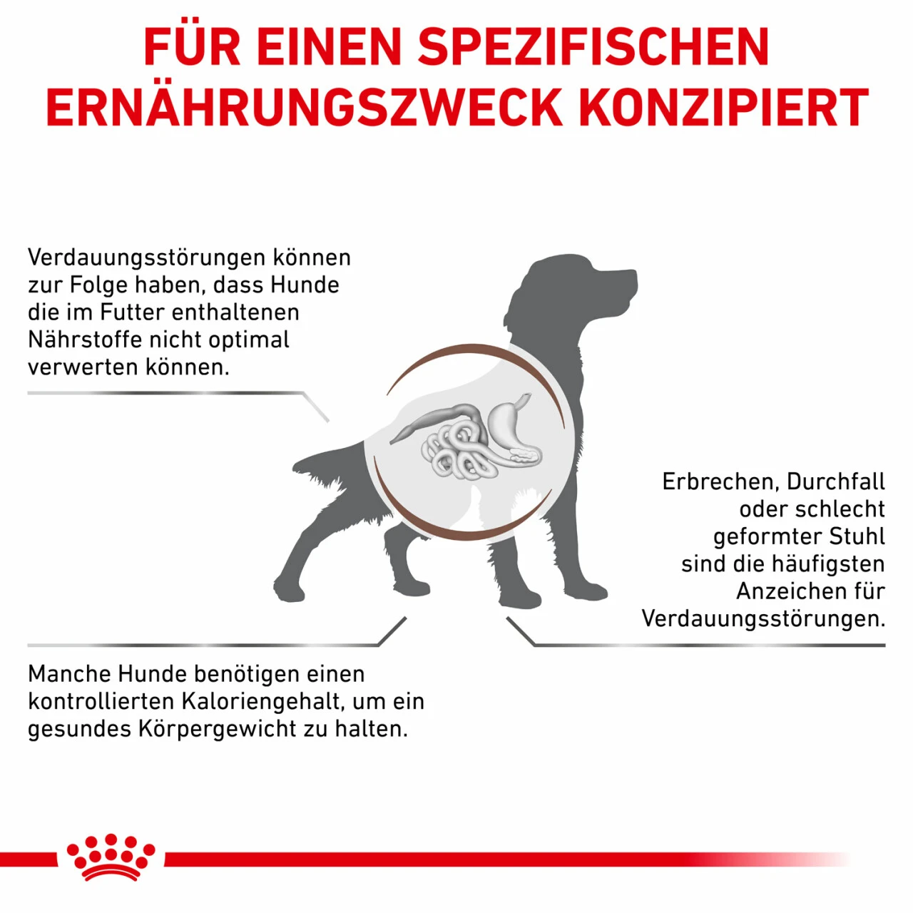 Royal Canin Gastrointestinal Moderate Calorie Trockenfutter Für Hunde 5 Royal Canin Gastrointestinal Moderate Calorie Trockenfutter Für Hunde – Bild 5