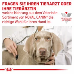 Royal Canin Gastrointestinal Moderate Calorie Trockenfutter Für Hunde 15 Royal Canin Gastrointestinal Moderate Calorie Trockenfutter Für Hunde -Haustierprodukte royal canin gastro intestinal moderate calorie hund8