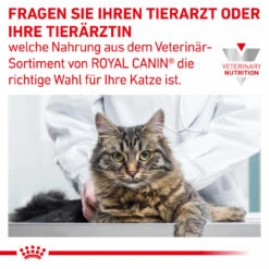 Royal Canin Gastrointestinal Kitten Nassfutter Für Katzen -Haustierprodukte royal canin gastrointestinal kitten nass7