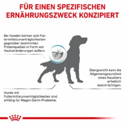 Royal Canin Hypoallergenic Moderate Calorie Trockenfutter Für Hunde 13 Royal Canin Hypoallergenic Moderate Calorie Trockenfutter Für Hunde -Haustierprodukte royal canin hypoallergenic moderate calorie hund7