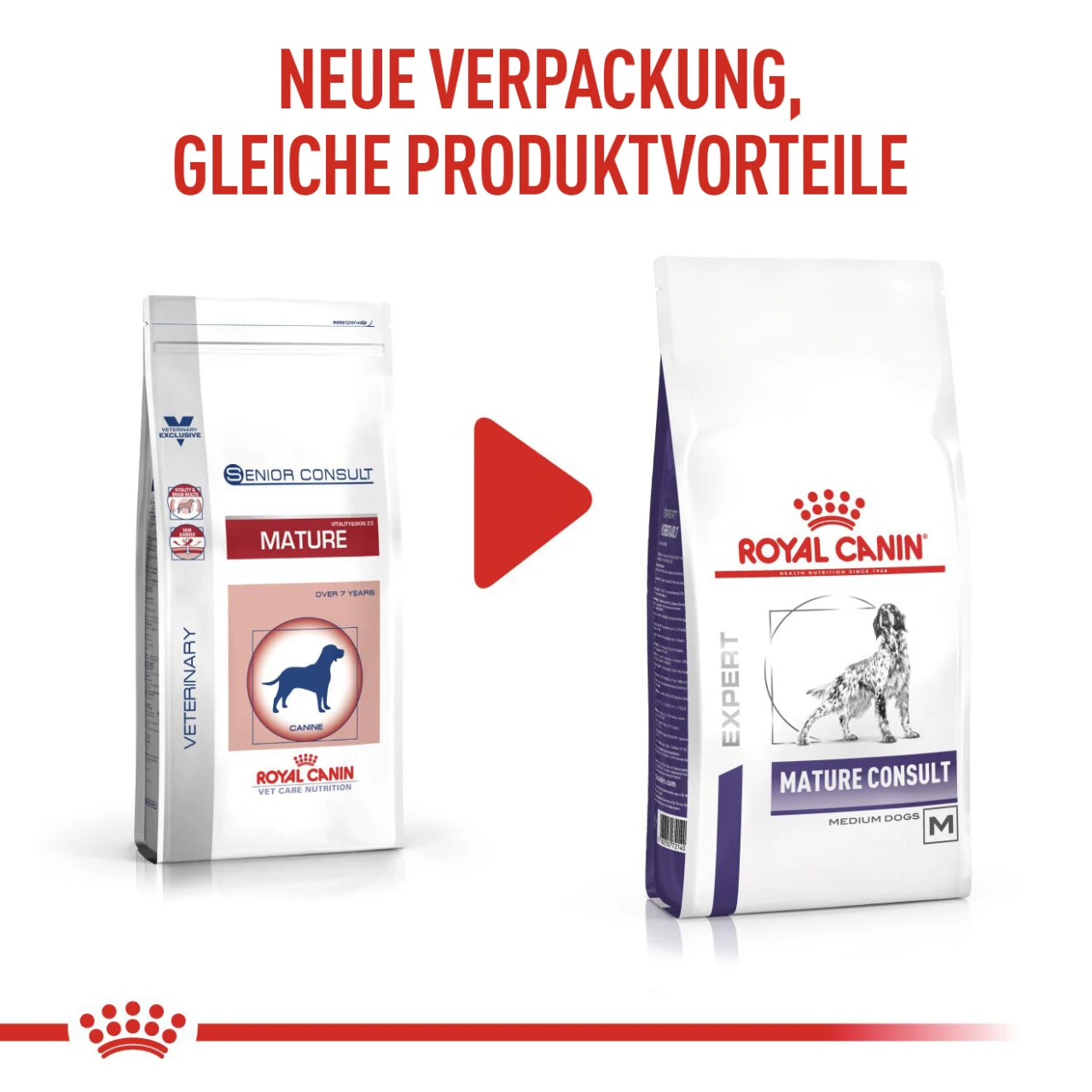Royal Canin Expert Mature Consult Medium Dogs Trockenfutter Für Hunde 2 Royal Canin Expert Mature Consult Medium Dogs Trockenfutter Für Hunde – Bild 2