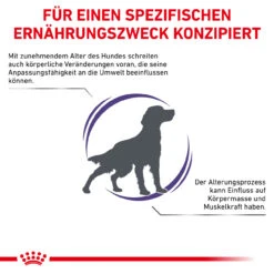 Royal Canin Expert Mature Consult Medium Dogs Trockenfutter Für Hunde 11 Royal Canin Expert Mature Consult Medium Dogs Trockenfutter Für Hunde -Haustierprodukte royal canin mature consult medium dogs hund3
