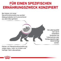 Royal Canin Renal Special Trockenfutter Für Katzen -Haustierprodukte royal canin renal special katze5