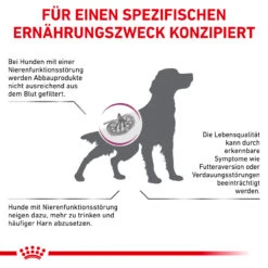 Royal Canin Renal Special Trockenfutter Hund -Haustierprodukte royal canin renal special trocken hund5