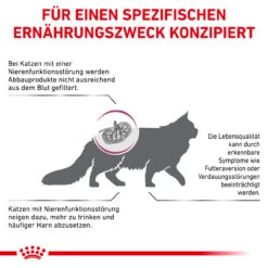 Royal Canin Renal Trockenfutter Für Katzen -Haustierprodukte royal canin renal trocken katze5