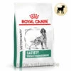 Royal Canin Satiety Weight Management Trockenfutter Für Hunde