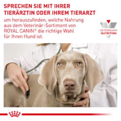 Royal Canin Satiety Weight Management Trockenfutter Für Hunde 14 Royal Canin Satiety Weight Management Trockenfutter Für Hunde -Haustierprodukte royal canin satiety weight management trocken hund7