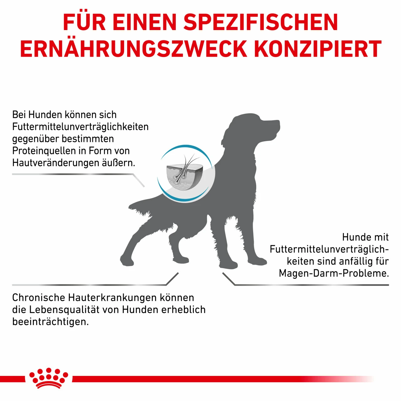 Royal Canin Sensitivity Control Trockenfutter Für Hunde 7 Royal Canin Sensitivity Control Trockenfutter Für Hunde – Bild 7