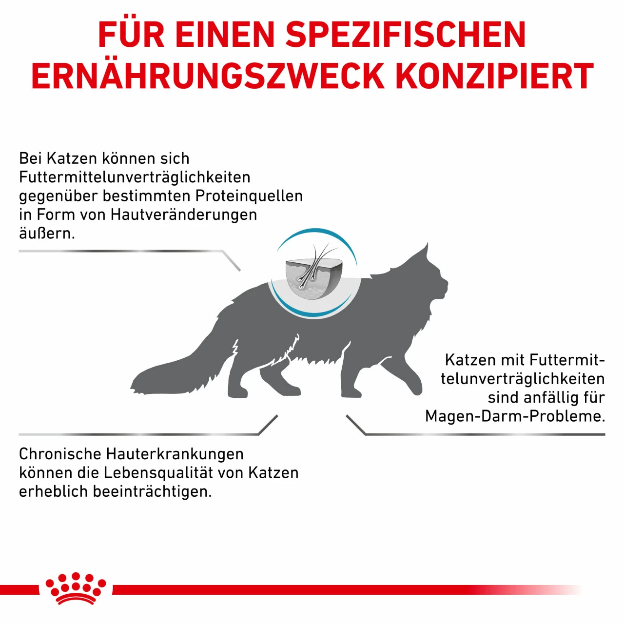 Royal Canin Sensitivity Control Trockenfutter Für Katzen 8 Royal Canin Sensitivity Control Trockenfutter Für Katzen – Bild 8