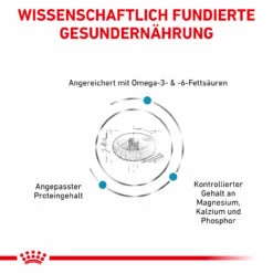 Royal Canin Skin & Coat Trockenfutter Für Katzen -Haustierprodukte royal canin skin coat trocken katze3