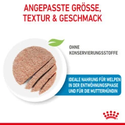 Royal Canin Starter Mousse Mother & Babydog Nassfutter Für Hunde -Haustierprodukte royal canin starter mousse mother babydog hund4