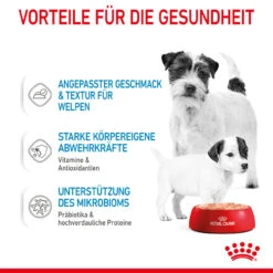 Royal Canin Starter Mousse Mother & Babydog Nassfutter Für Hunde -Haustierprodukte royal canin starter mousse mother babydog hund5