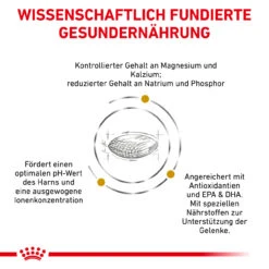 Royal Canin Urinary S/O Ageing 7+ Trockenfutter Für Hunde -Haustierprodukte royal canin urinary s o ageing 7 trocken hund4