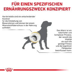 Royal Canin Urinary S/O Ageing 7+ Trockenfutter Für Hunde -Haustierprodukte royal canin urinary s o ageing 7 trocken hund5