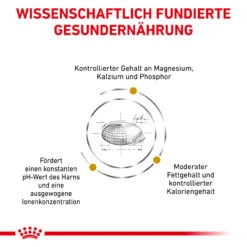 Royal Canin Urinary S/O Moderate Calorie Trockenfutter Für Katzen -Haustierprodukte royal canin urinary s o moderate calorie trocken katze5