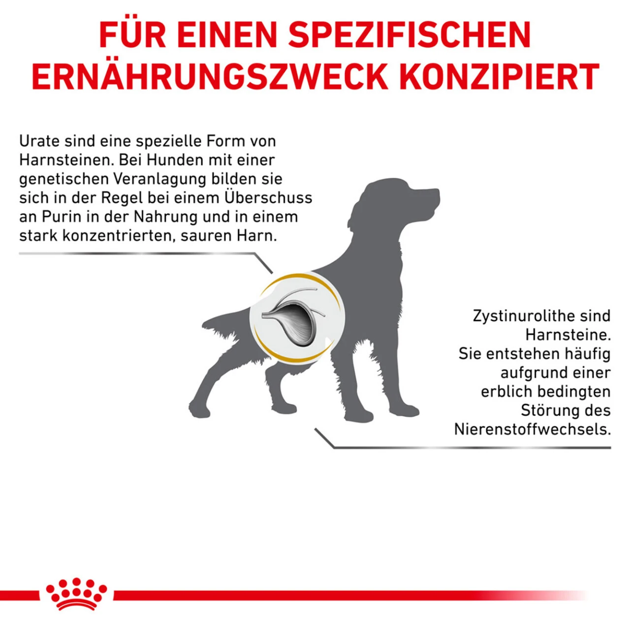 Royal Canin Urinary U/C Trockenfutter Für Hunde 7 Royal Canin Urinary U/C Trockenfutter Für Hunde – Bild 7
