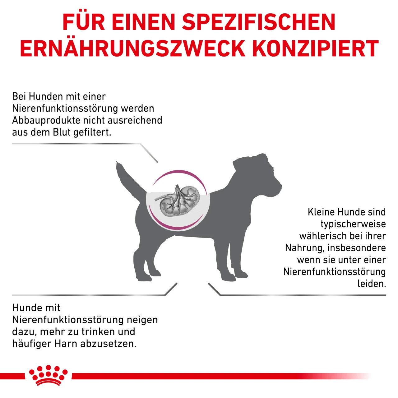 Royal Canin Renal Small Dogs Trockenfutter Für Hunde 5 Royal Canin Renal Small Dogs Trockenfutter Für Hunde – Bild 5