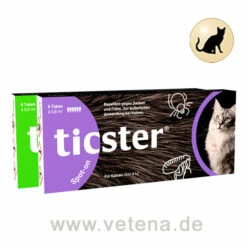 DECHRA Ticster Spot-on Für Katzen